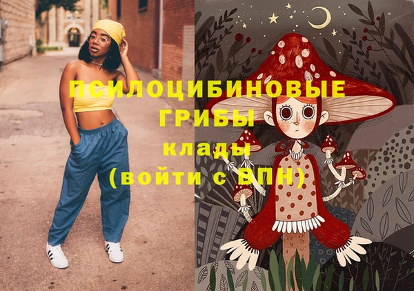 дживик Абаза