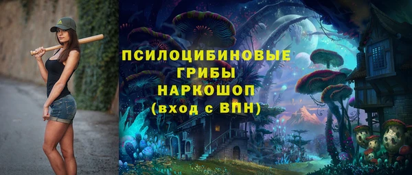 крисы Абдулино
