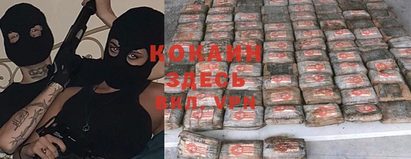 крисы Абдулино