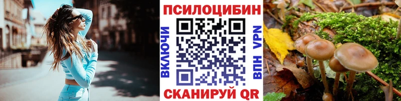 Псилоцибиновые грибы ЛСД как найти Сызрань
